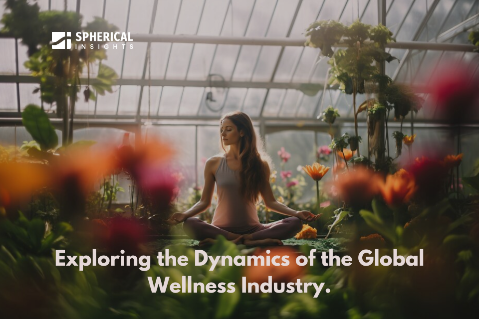 Exploring the Dynamics of the Global Wellness Industry