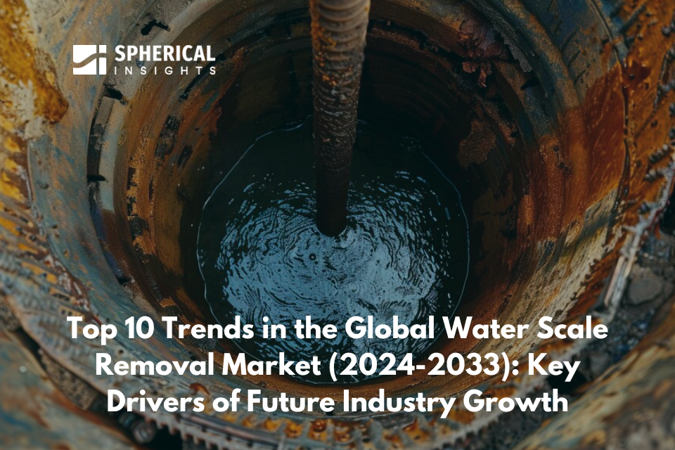 Top 10 Trends in the Global Water Scale Removal Market (2024-2033): Key Drivers of Future Industry Growth