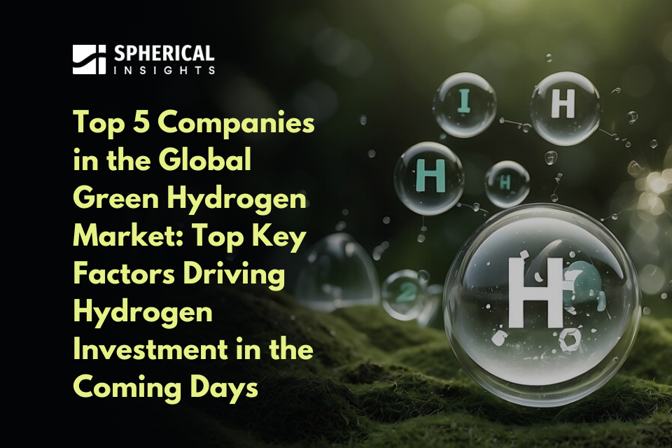 Top 5 Companies in the Global Green Hydrogen Market: Top Key Factors Driving Hydrogen Investment in the Coming Days