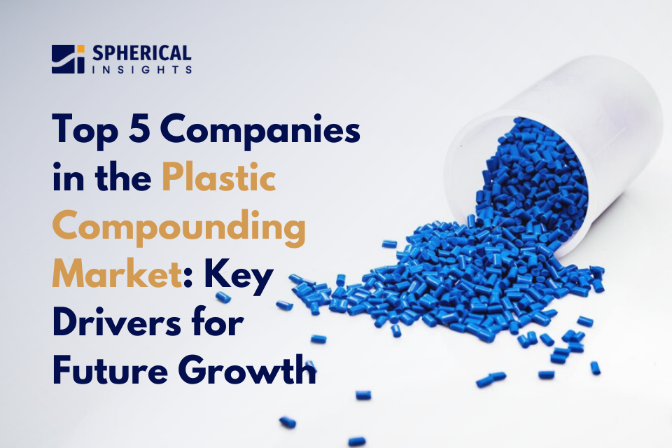 Top 5 Companies in the Plastic Compounding Market: Key Drivers for Future Growth