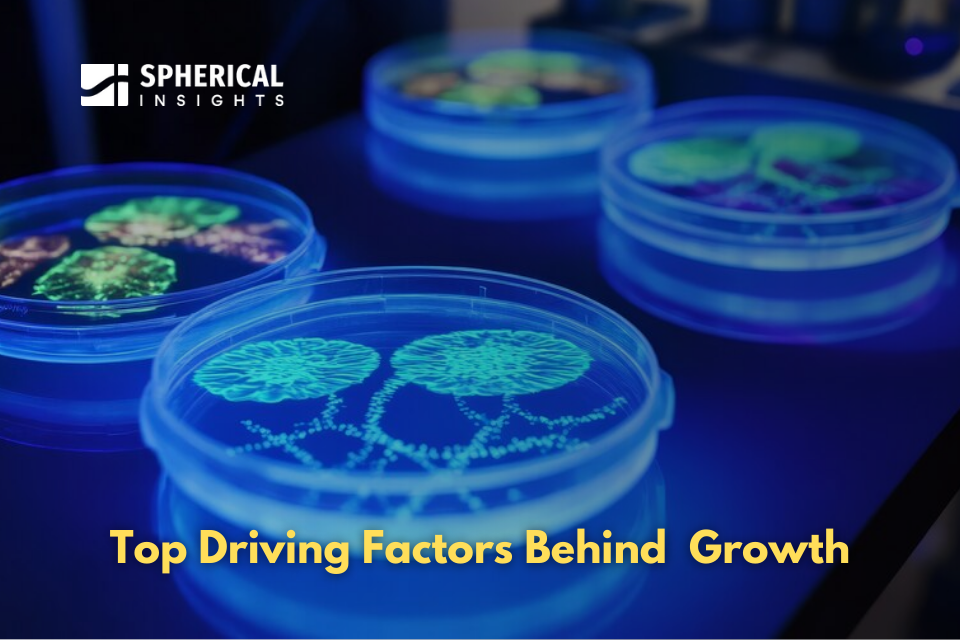 Top Driving Factors Behind Biosimilars Growth