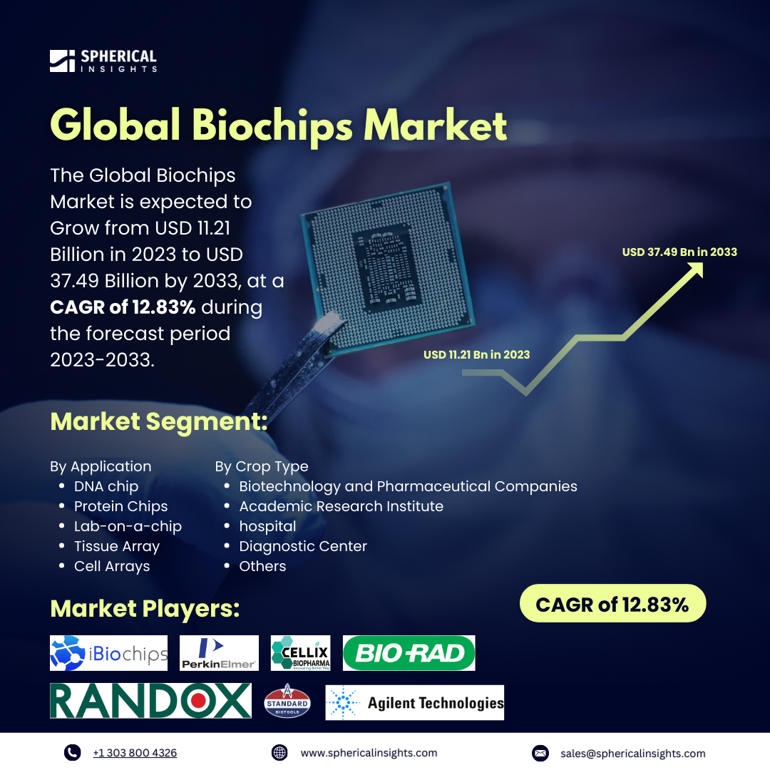 Global Biochip Market Size To Exceed USD 37.49 Billion by 2033; Market Study Report