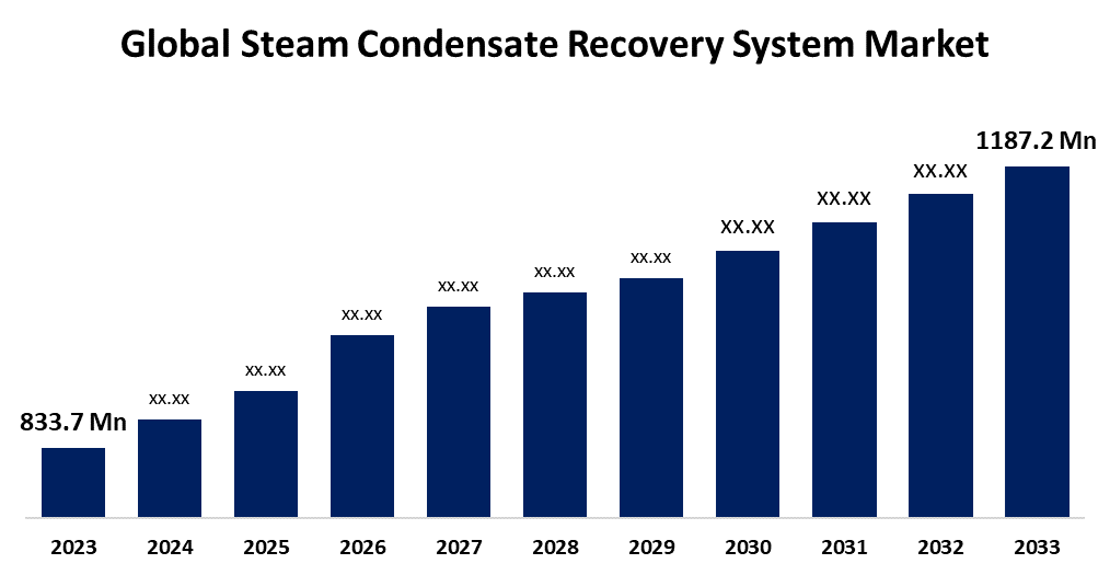 Global Steam Condensate Recovery System Market Size